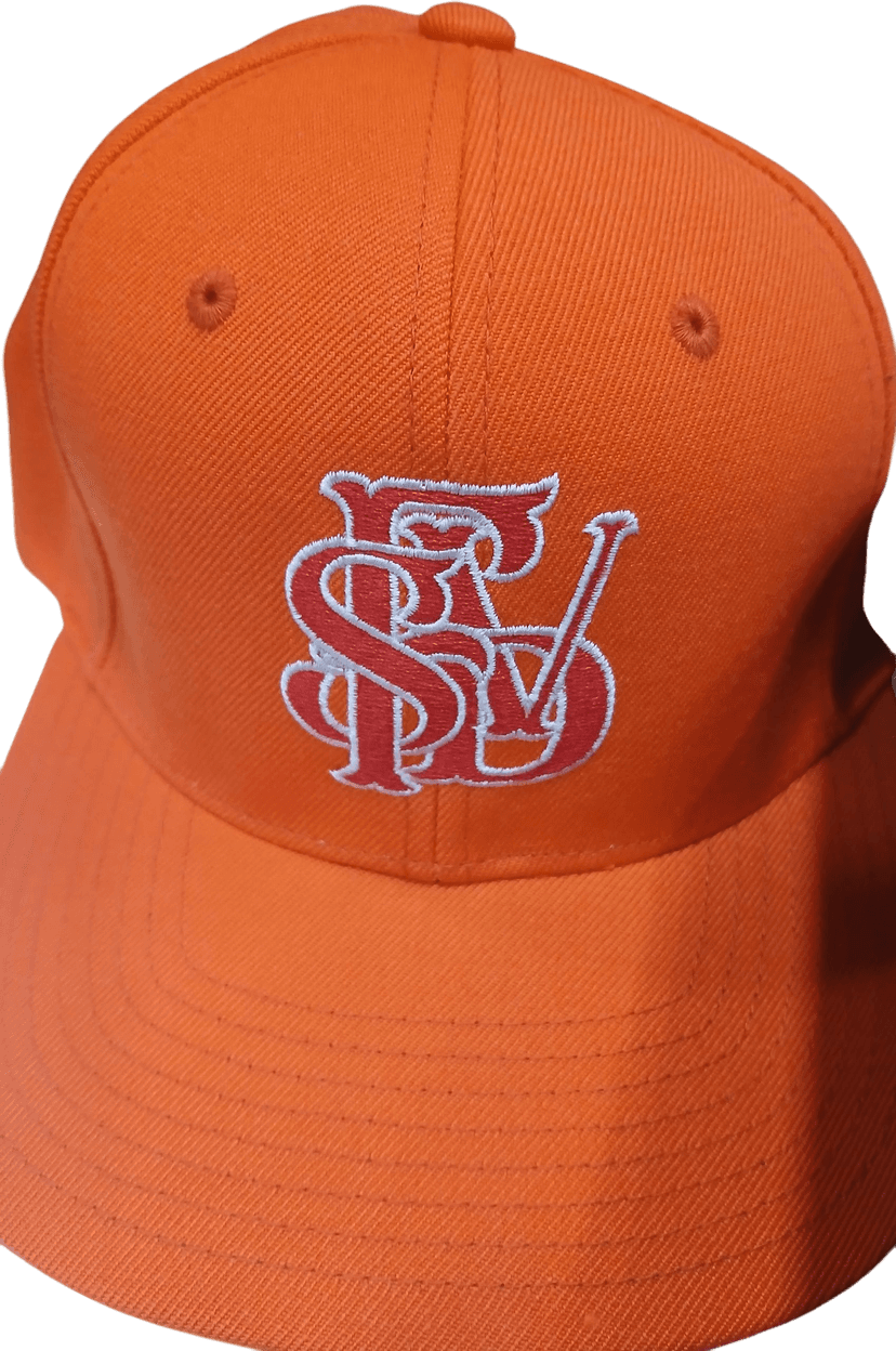 Digital Screen Printing Press